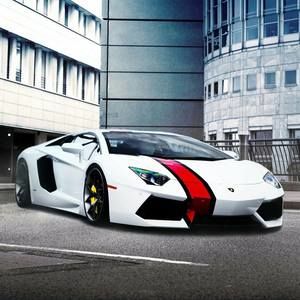 Meet your Posher, Billy